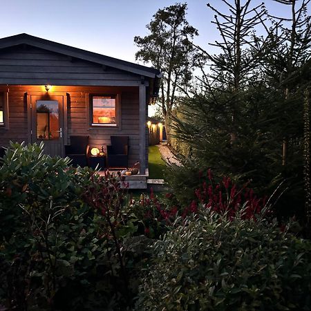 Chalet In Het Groen Met Airco Drachtstercompagnie المظهر الخارجي الصورة