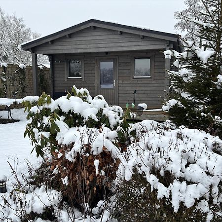 Chalet In Het Groen Met Airco Drachtstercompagnie المظهر الخارجي الصورة