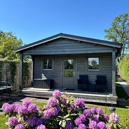Chalet In Het Groen Met Airco Drachtstercompagnie المظهر الخارجي الصورة