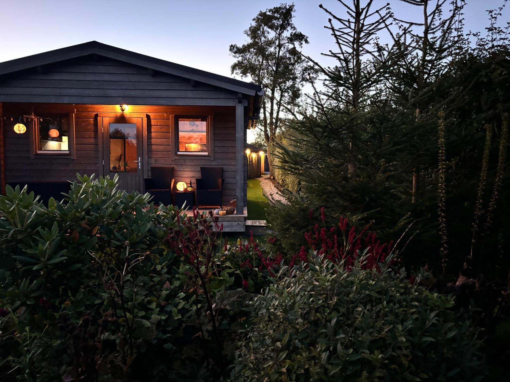 Chalet In Het Groen Met Airco Drachtstercompagnie المظهر الخارجي الصورة