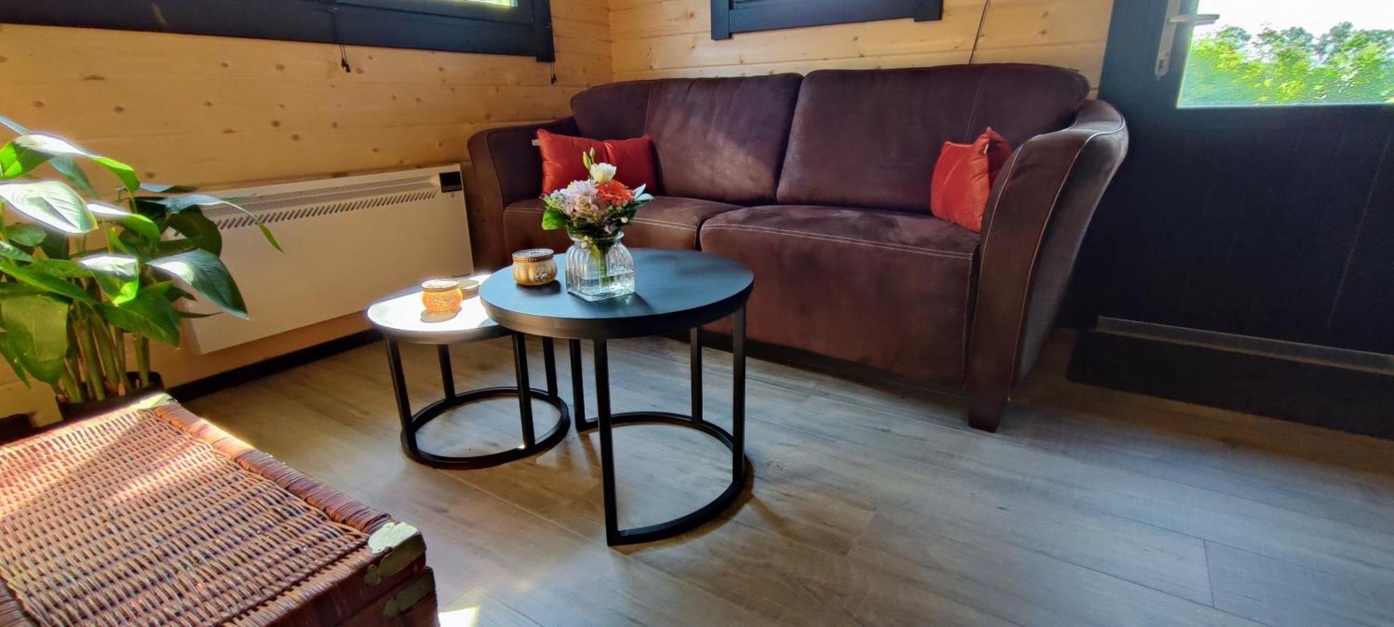 Chalet In Het Groen Met Airco Drachtstercompagnie المظهر الخارجي الصورة
