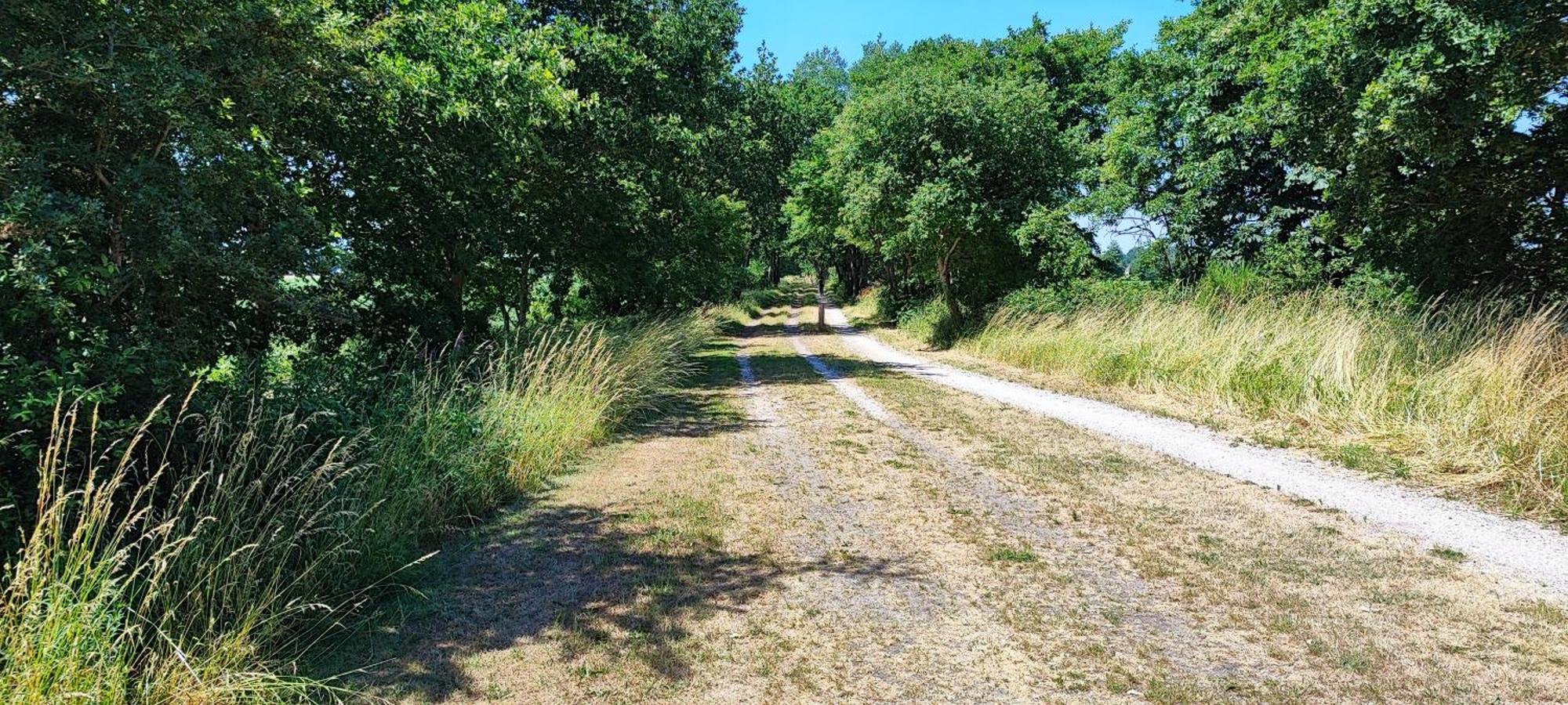 Chalet In Het Groen Met Airco Drachtstercompagnie المظهر الخارجي الصورة