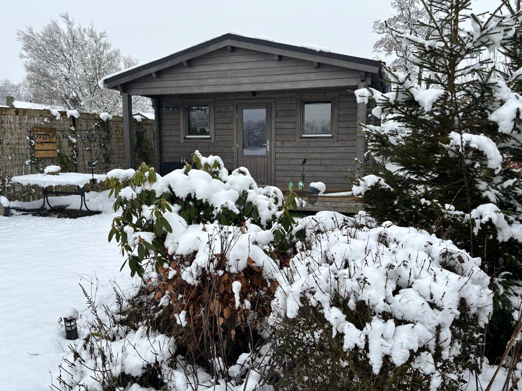 Chalet In Het Groen Met Airco Drachtstercompagnie المظهر الخارجي الصورة